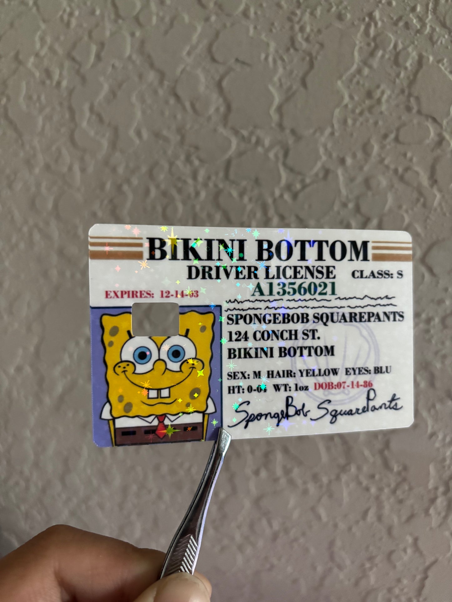 Credit Card Skins